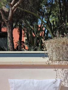 Petra Country House Creates Unforgettable Moments Through Genuine Hospitality